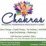 Chakras Holistics Window sticker