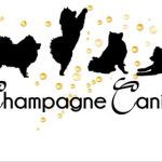 Champagne Canine Dogs