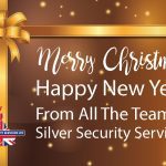 Silver Security Christmas